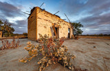 Wildflower Ruins | wildflower-ruins | Posters, Prints, & Visual Artwork | Inspiral Photography