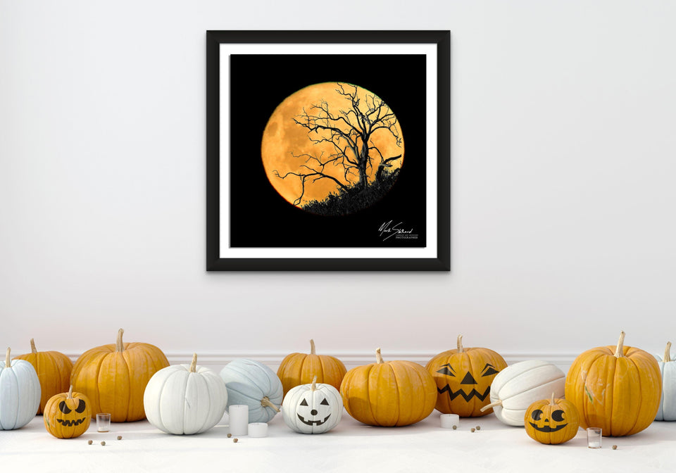 Craggy Tree Full Moon | craggy-tree-full-moon | Posters, Prints, & Visual Artwork | Inspiral Photography