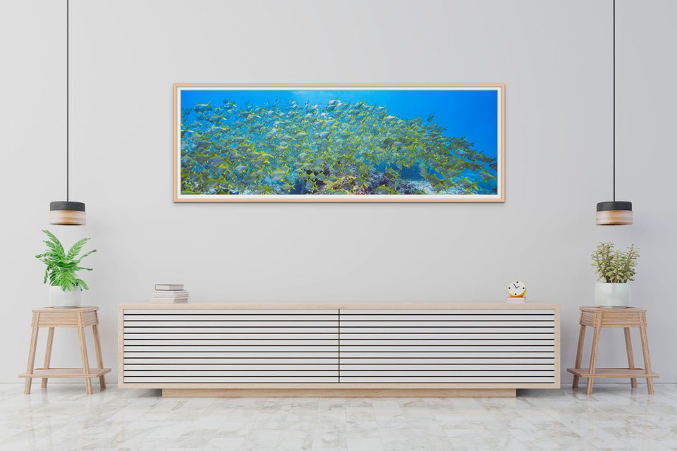 Yellow Fish Pano - Inspiral Photography