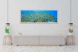 Yellow Fish Pano - Inspiral Photography