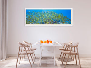 Yellow Fish Pano - Inspiral Photography